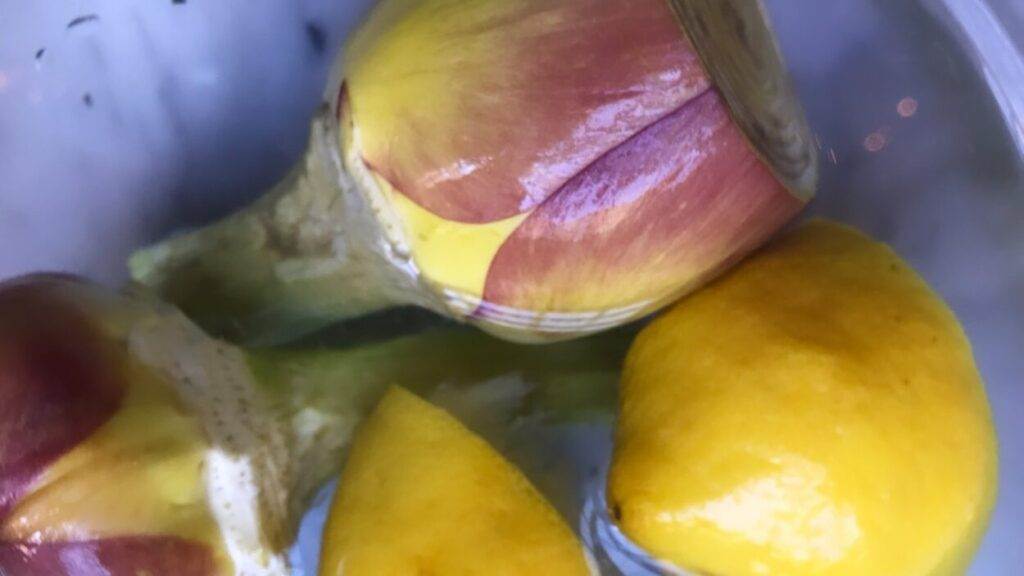 Seasonal spring dishes