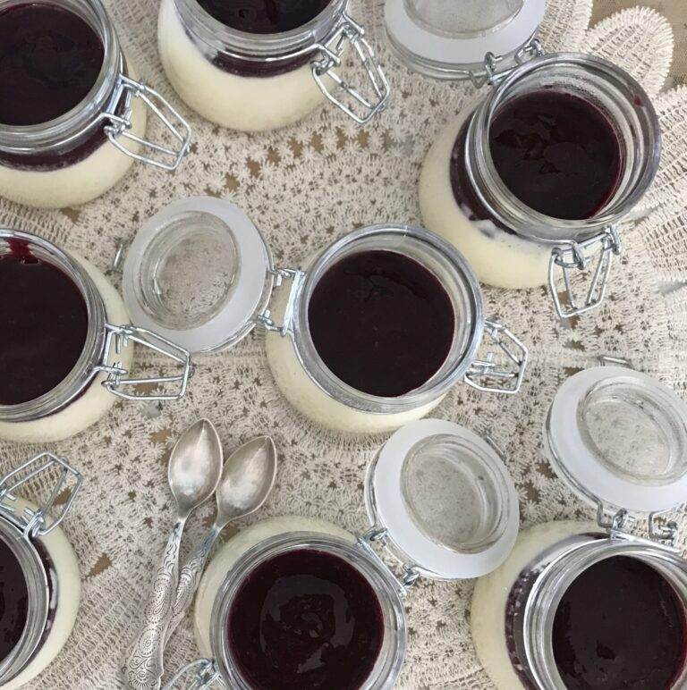 Panna Cotta with red fruit coulis