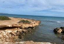 Awaken & Align: Ibiza Summer Retreat 2026